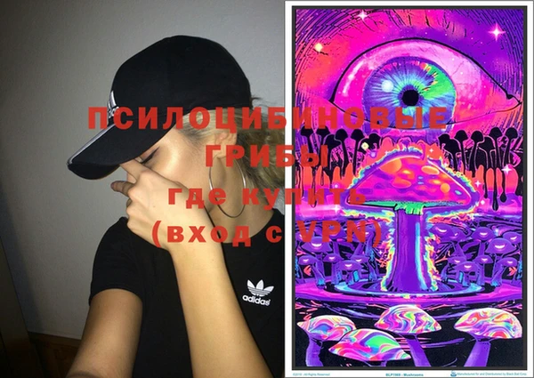 МДПВ Белокуриха